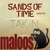 Sands Of Time (Tripzone Remix) - Tripzone&Takin&Housefire X