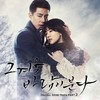 겨울사랑 - The One
