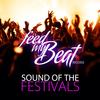 Past, Present, Future (Festival Mix) - Pulsedriver&Chris Deelay&Brooklyn Bounce