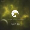 Summer (Original Mix) - RayChris