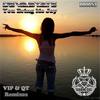 You Bring Me Joy (DJ Qt Remix) - Devastate&DJ QT