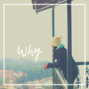 Why - Luciano Silva