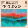 Feelings - Pontifexx&Le Dib&Zeeba