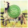 Escape (Original Mix) - Dawell