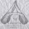 Lamentin (Original Mix) - Alex Boneti