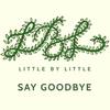 Say Goodbye - Little by Little