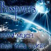 How Much Can You Take (Original Mix) - Basspowers