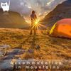 Accommodation In Mountains (Original Mix) - Radik