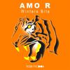Winters Bite (Original Mix) - Amo R