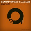 Kashmir (Martin Libsen Remix) - Conrad Winged&Ascania