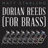 Dorian Reeds - Matt Starling