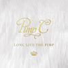 Ain't Said S**t (Explicit) - Pimp C&Ty Dolla $ign&Devin the Dude