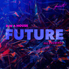I Believe in Future (Lazerchoke RMX) - 3 in a House&Lazerchoke