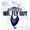 MR. FLY GUY (Explicit) - Young Sicko