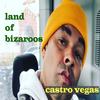 Land of Bizaroos (Explicit) - Castro Vegas