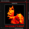 You Know It's Right (Hexadecimal Remix) - DRKWTR&Hexadecimal