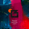 Hollow (Original Mix) - Txmzz