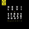 Dysnomia - Hevi Levi&Sebastiaan Hooft