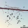 TIGHTROPE (feat. Lux Saikiphoria) - ZXEE&Lux Saikiphoria
