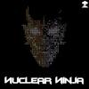 Disk Jockey - Nuclear Ninja