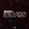 DLV #5 Règlement (Explicit) - S2R Gang