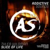 Slice of Life (Alter Future Remix) - Tyler Wildman&Alter Future