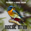 Ndege Mtini - Ferooz&Shaz Dear