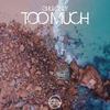 Too Much - Gruvonly