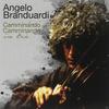 Il dono del cervo - Angelo Branduardi