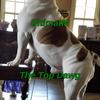 The Top Dawg (Explicit) - UltimatM&Felipe Gonzales