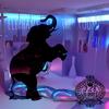 Elephant in the Room(feat. Johnny X) (Explicit) - 7even 2wenty 8ight&Johnny X