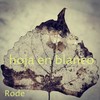 Hoja en Blanco - Rode
