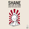 Too Late To Turn (Armin van Buuren Remix) - Shane