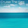 Cruise the Sea (Electro Dance Mix) - DJ Sharp