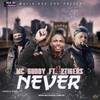 Never - Mc Guddy&Two Tigers