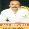 Yaşamam Artık - Ali Seven