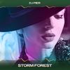 Storm Forest (24 Bit Remastered) - DJ Pier