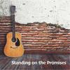 Standing On the Promises - Scott Willis