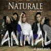 Animal(feat. Bachata Heightz) - Naturale&Bachata Heightz