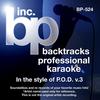 Ridiculous (Karaoke Lead Vocal Demo) - Backtrack Professional Karaoke Band&Eek-A-Mouse