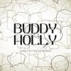 You've Got Love - Buddy Holly