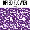 Floro - Dried Flower