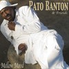 Dreams of Paradise(Flute Solo)[feat. Martyn Phillips] - Pato Banton&Martyn Phillips