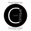 Summer Forest - Pavel Svetlove
