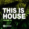 What's To Do (Original Mix) - Anthony Melodic