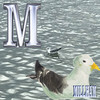 M(skit) - Millham