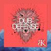 I Don't Know (Original Mix) - Dub Defense