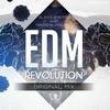 Edm Revolution (Original Mix) - Aleks Energy&Nikosha Viniloff