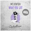 What You Got (Oldschool Mix) - Milkwish