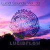 Lucid Sounds, Vol. Thirty Three Deep Flow, Pt. One - Mrs. Robot